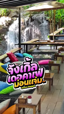 แอ่วม่อนแจ่ม แวะ Jungle de Cafe โป่งแยง #checkinchiangmai #เช็คอินเชียงใหม่ #เที่ยวเชียงใหม่ #เชียงใหม่ #ม่อนแจ่ม 