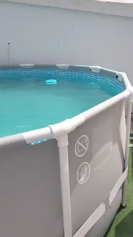 😍client satisfait 😍 4.57/1.22 #intex #summertime #ete2023 #fouryou #piscine #piscine #piscina #fyp #viralvideo #viral #tiktok #tiktokarabgamer #Summer 