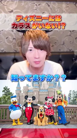 ディズニーにカラスがいない理由#ディズニー #ディズニーランド #東京ディズニーランド #豆知識 