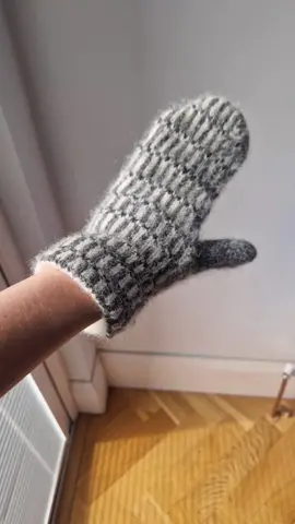 a work in progress knitting project, the question is do I make the other pair or change the pattern? #knitting  #knittok  #mittens 