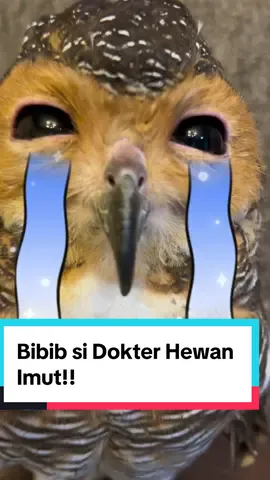 Lihat Muka Bibib waktu kegigit bikin ketawa 😂 #bibibfamily #videolucu #cute #owl #cuteanimals 