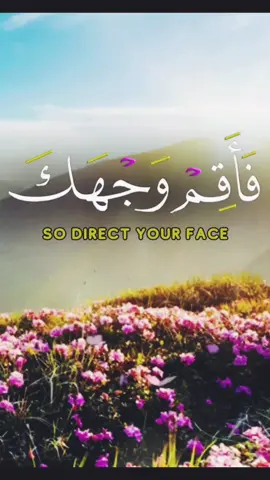 #القران_الكريم_راحه_نفسية😍🕋  #القران_الكريم بصوتً جميل وتلاوة عطرة معا #القارئ_محمد_الفقيه #ارح_سمعك_بالقران حساب. القارئ الشيخ @محمد الفقيه 👉👉👉 تابعوووه 