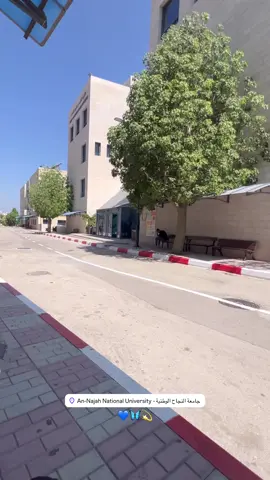 🤍. #جامعة_النجاح_الوطنية #نابلس #كلية_الطب #نابلس_جبل_النار #جامعة_النجاح 