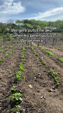 Bage le gehh🤣😂 #katakatagayo #gayotiktok #benermeriah #takengon #benermeriah_takengon #fyp #brandamufyp #4u #foryou 