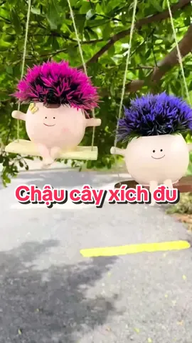 Chậu cây xích đu tuy vô tri nhưng cực đáng yêu nha #chaucayxichdu #chaucaytreo #chautrongcay #chautrongcaymini #chautrongcaycanh 