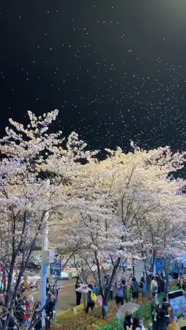 Ngày hôm đó chúng tôi chia tay nhau. Sau khi chúc ngủ ngon tôi xong, anh ấy nói rằng: “Em làm anh giận rồi. Lần này anh phạt em, sau này không bao giờ gặp lại anh nữa” Hoá ra hôm đó tôi đã quá đáng tới vậy. Còn anh ấy kể cả lần cuối cùng cũng không nỡ nặng lời với tôi...” -Đừng khóc khi anh không thể cạnh bên