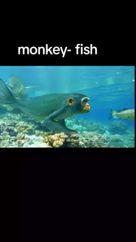 #monkey #fantasy #art 