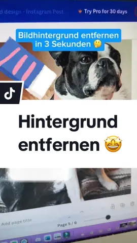 Bei Canva jeden Hintergrund entfernen 🤩 #canva #hintergrund #entfernen #transparent #hund #tipp #hack #iq #design #praktisch 