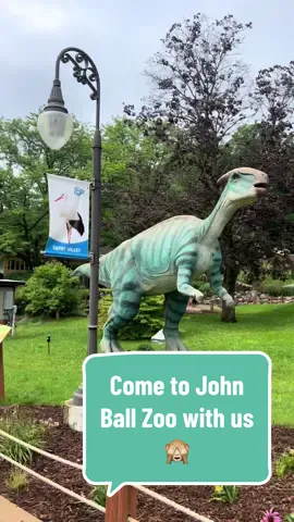 John Ball Zoo 10/10 🦁 #johnballzoo #sahm #momtok #momlife #zoowithus #zoo #dinosaurexhibit #monkeys #lions #otters #facepainting #zipline @John Ball Zoo @John Ball Zoo Offical! 
