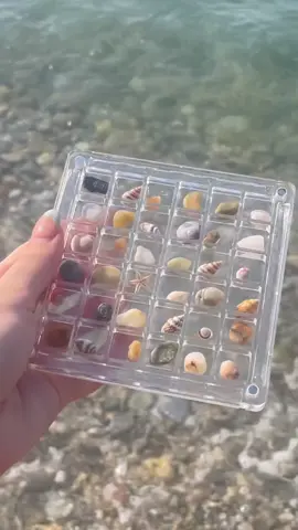 collecting little sea shells and rocks🐚🦪