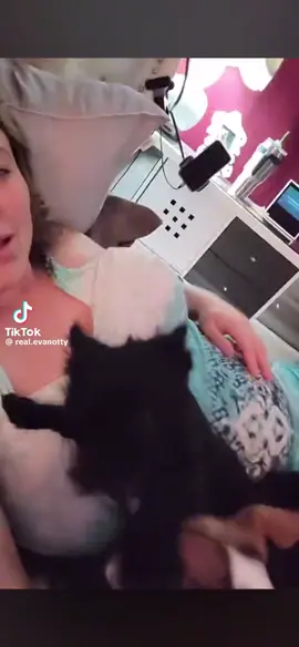 They alwyas make ma’am smile all the time 😹🤣🤣#viralvideo #trend #foryoupage 