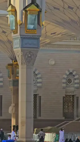متشوق انا لي لقاك 😭💚🕌... .... #foryoupage #المدينه_المنوره #المسجد_النبوي_الشريف #fyp #سودانيز_تيك_توك #سليمان_طارق #مديح_سوداني #الحرم_المدني #اكسبلور #foryou #تصويري📸 #sudanese_tiktok #اللهم_صلي_على_نبينا_محمد 