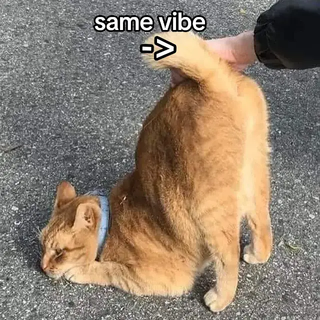 #asukajackochallenge #asuka #jack #o #challenge