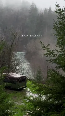 Rain therapy 🌧️ : #buslife #vanlife #cozyvibes #cozyhome #comfort #forestcore #darkaesthetic #oregon #pnw 