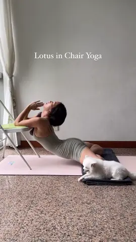lotus pose using a chair 🧘🏻‍♀️🪑✨ #fyp #foryou #popular #lotuspose #lotusposechallenge #padmasana #yoga #namaste 