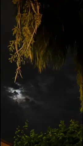 أتحفآه جِداً لا لـفآني🧡👏🏻👏🏻@TikTok @TikTok Trends #اكسبلور_تيك_توك #tiktokindia #explorepage #najran #حمد_البيد #عذب_الثنيه #غابه_سقام  #شيلات 