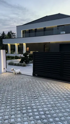 #dreamhouse #porsche #dog 
