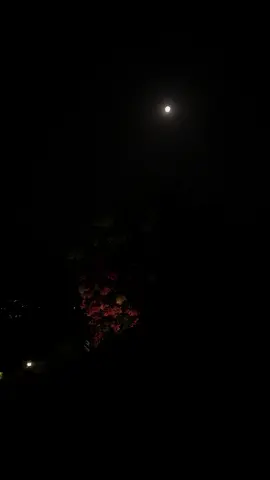 •Spogmay 🌗😭~. #moon #selenophile #trending #pashtopoetry #fyp#foryoupage @SAIF ➰ 
