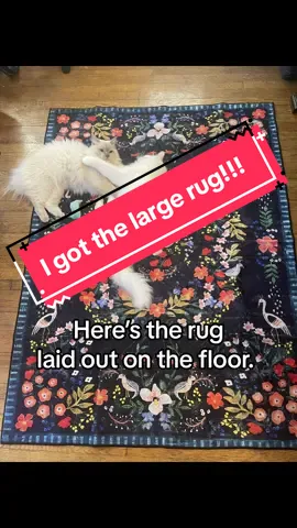 There’s a reason this rug is so popular!!!  It is beautiful, lightweight, velvety soft, and washable!!!#viralrug #rug #floral #floralrug #TikTokShop #tiktokshopdeals #treasurehunt #washablerugs #review #tiktokshopaffiliate #decor #homeimprovement 