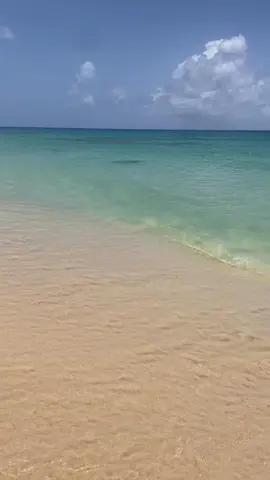 La buena vida 🤩🌊 #fyp #viral #vacation #Summer #summervibes #summertime #beach 