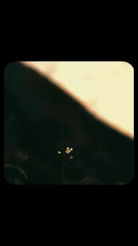 jake the dog #qoutesoftheday #inspirationalvideo  #motivationalspeech #natureaesthetic #jakethedog #adventuretime #mindsetshift #inersoul #soul