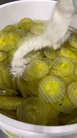 What flavor would you try?🤔🥒#freezedried #freezedriedpickles #pickles #pickle #pickletok #picklesarelife #picklerick  #pickletoktiktok #ranch #garlic #chips #crunchy #yum #trending #viral #reels #fyp 