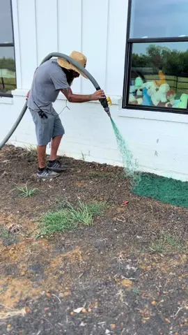 SAVE THOUSANDS on your landscape 🌱💰#sod #alternative #hydromulch #grasstok #newhomeconstruction 