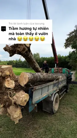 Bây h làm gì còn trầm hương tự nhiên 