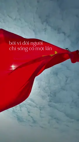 Mình ko hề mong video này sẽ viral hay lên xu hướng. Mình đơn giản là rất thích câu nói của bác. Cảm ơn bác một đời vì nước vì dân. Chúng cháu luôn nhớ về bác ❤️🇻🇳 #vietnam #hoangdaytravel #toiyeuvietnam #toiyeutoquoctoi 