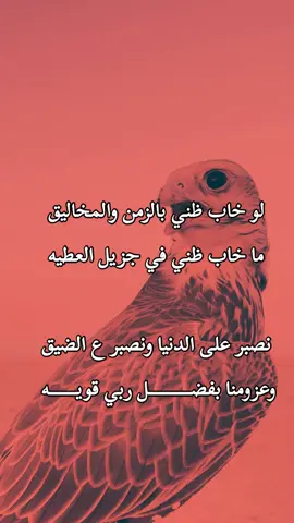 #الاردن_السعودية_فلسطين_أحساس_شاعر_لايك_فضلآ_وليس_أمرآ 