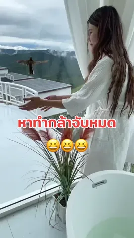 น้องมาให้โชคค่ะ55555555 #กวางหาทําไปเรื่อย #กวางช็อปไปเรื่อย  #เที่ยว #เที่ยวไทย #ตาก 