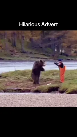 Love this advert 🤣 #bear #funnyvideos #fyp #fishing #fisherman #bears #wildlife #funny #kungfu #karate #foryourpage 
