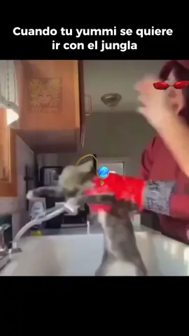 Yummi no te vayas 😢#leagueoflegendsmemes #leagueoflegendsfunny #leagueoflegends #memes #gamer #leagueoflegendsriotgames #yummi #vayne 