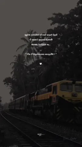 🙂🤍 #fyp #fypシ #foryoupage #viral #sinhalaquotes #trending #goviral #sanuu_🤍🥀✨ 