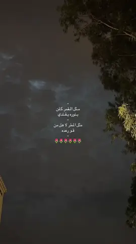 مثل القمر كلن بنوره يقتدي🌷#جفران_المري #explore 