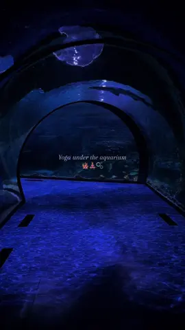 #fyp #visitabudhabi #yoga 
