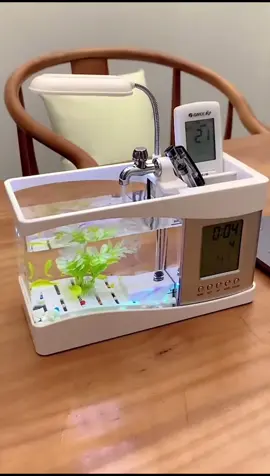 Bể cá thuỷ sinh mini để bàn trang trí decor phòng , bàn làm việc (24x20x9,7cm)#dogiadungtienich #thinhhanh #hot #hottrend #xuhuongtiktok #xuhuong #thinhhanhtiktok #lenxuhuong 