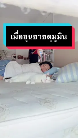 อุนยายพูดกับมูมินแหละ… #มูมินแมวเหนียง #มู้ดดี้แมวแสบ #แมวอ้วน #แมวตลก #แมวน่ารัก