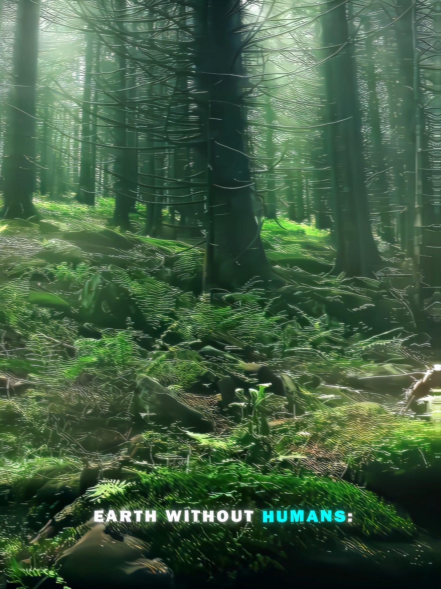 #earth #humans