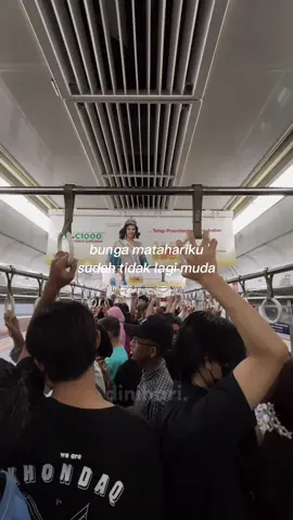 tapi ini bukan tentang bunga matahari🌻