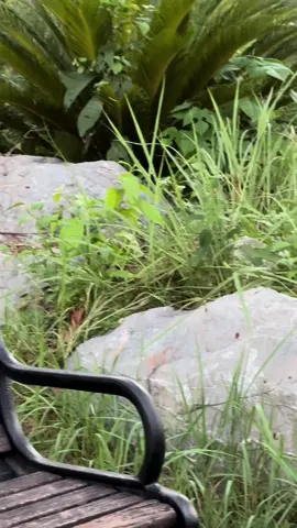 Mjy meri🌝#foryou #foryoupage #trending #trendingsong #viraltiktok #soundviral #tiktokpakistan🇵🇰 #foru 