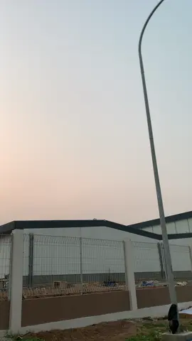 mp primus passwordnya? #megapro_herex #megapro_primus #fyp 