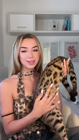 quien te quiere te regala un gato bengalí @NAZARLEOPARD 