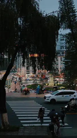 Sợ mai khi gió đông về em thôi chợt thấy lạnh lùng #dalat #reviewdalat #chill #sad #tamtrang #dalattrip #reviewcungmap #isbtalents 