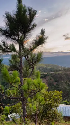 Buenos días ❤️☺️🍃