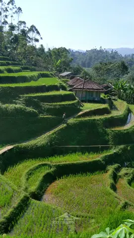SUASANA KAMPUNG INDAH BAGAI LUKISAN #fypviral 