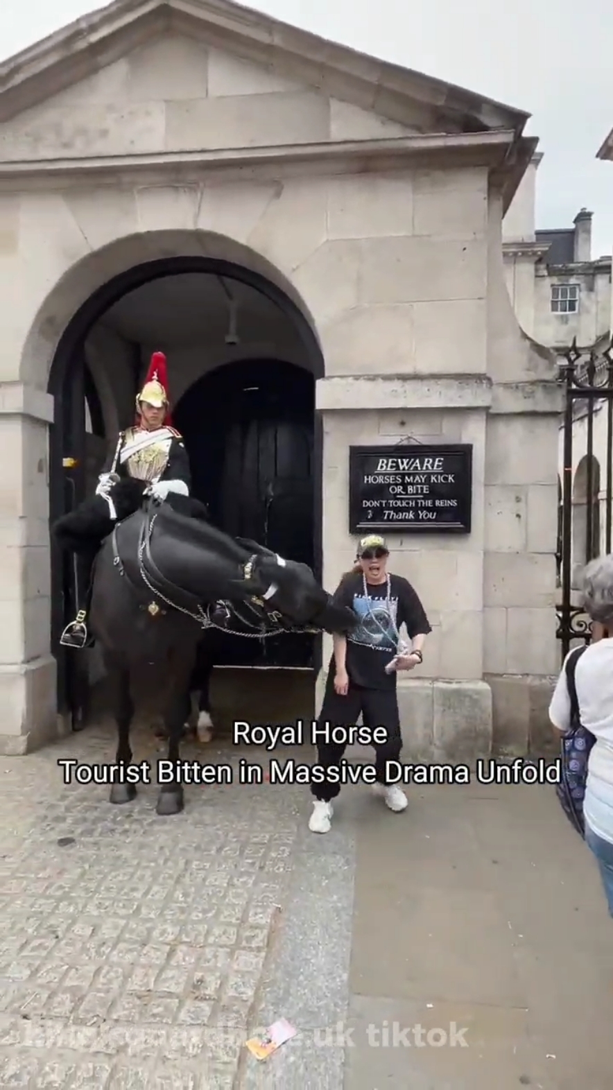 ORMONDE: Royal Horse Prank Goes Wrong: Tourist Bitten in Massive Drama Unfold #kingsguard #royalguard #uk 