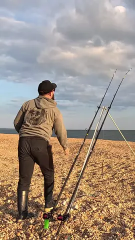 Sunshine, food, and a few fish 🔥🎥#chesilbeach #cheeil #theshorehunter #fishingvlog #beachfishing #fishing #fishingtiktoks #fishinglife #fishing #fishtok 