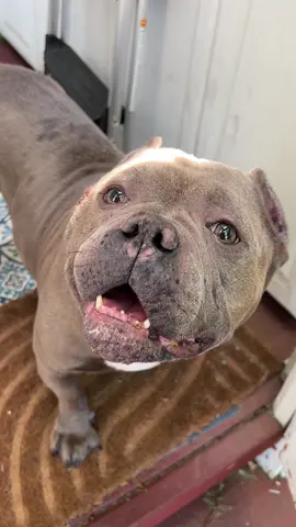 Do you think she forgives me?! @Muddy Paws Rescue 