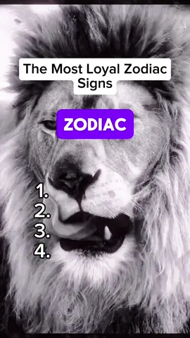 The most loyal zodiac signs ‼️ #zodiac #zodiacs #zodiacsigns #astrology #astrologytok #universemessage #zodiacsignsaesthetic #zodiacsignz 